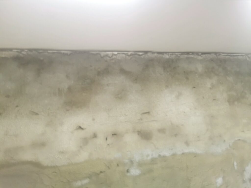 1670274399529