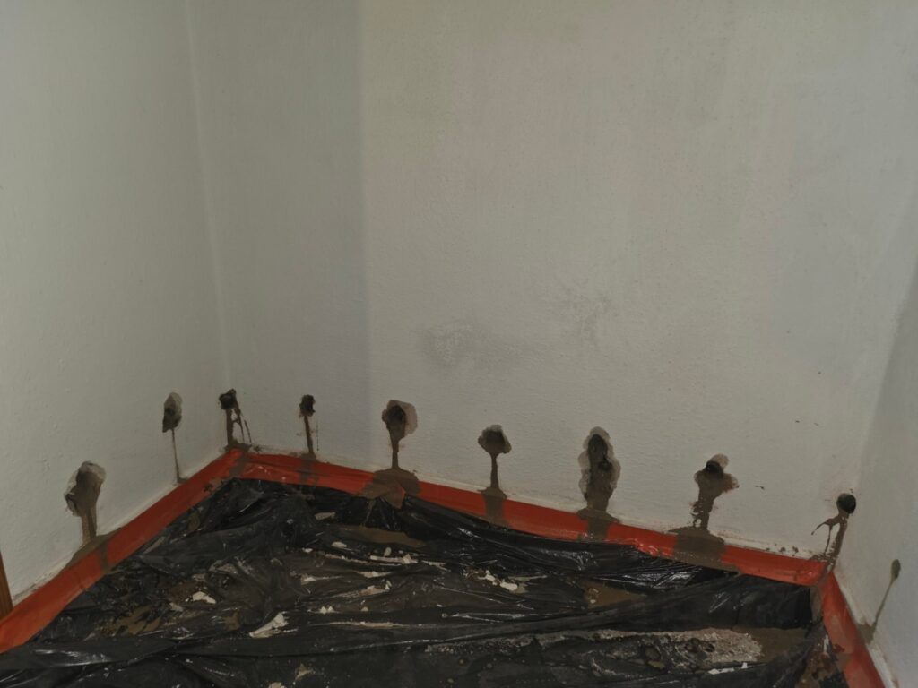 Dedov 17-2026-08-12